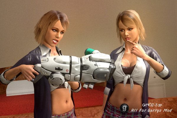 Holsom twins ragdoll