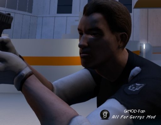 Mirrors Edge Patrol Cop PM