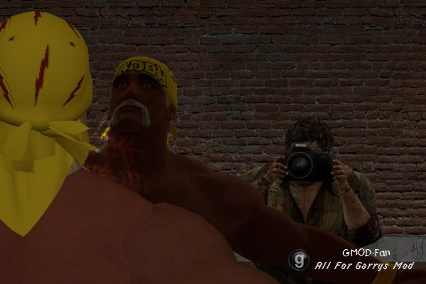 Hollywood Hulk Hogan