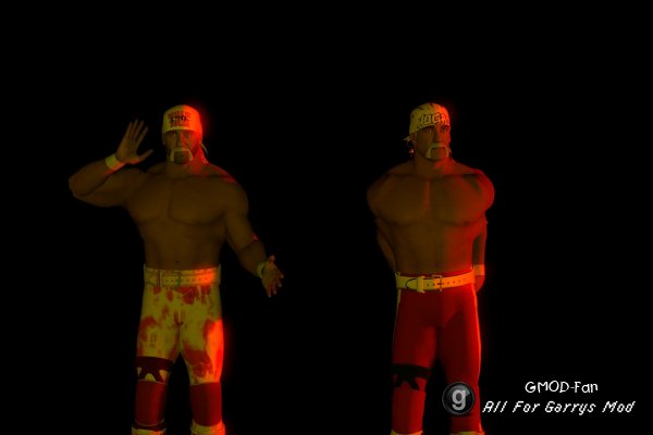 Hollywood Hulk Hogan
