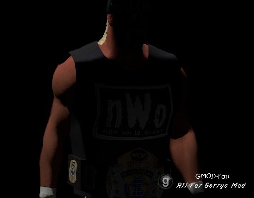 Hollywood Hulk Hogan