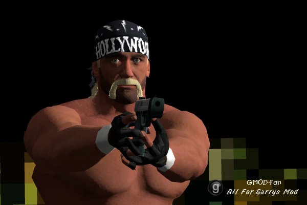 Hollywood Hulk Hogan