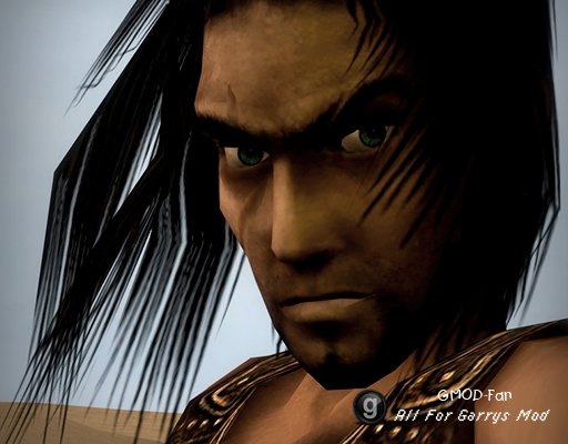 The Prince of Persia (Warrior Within)