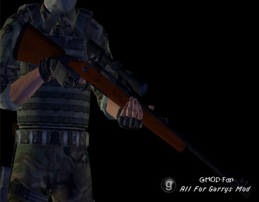 FNV Custom Remington 700