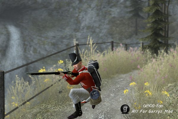 Musket SWEPS