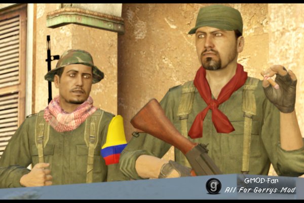 South American Guerrillas