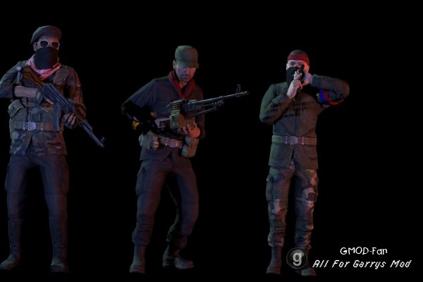 South American Guerrillas