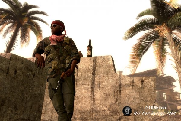 South American Guerrillas