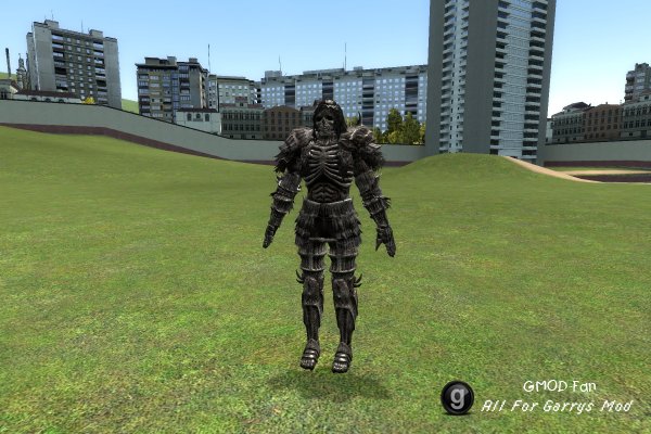 Dark Souls: Darkwraith