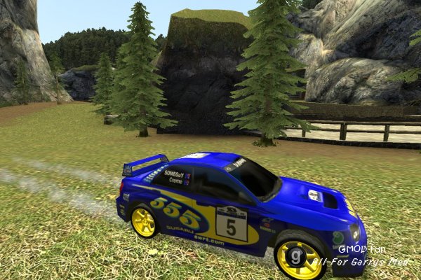Rally Drift Scars
