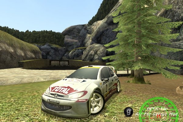 Rally Drift Scars