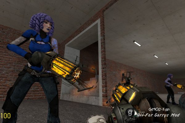 Physcannon/Gravity Gun [model/reskin]