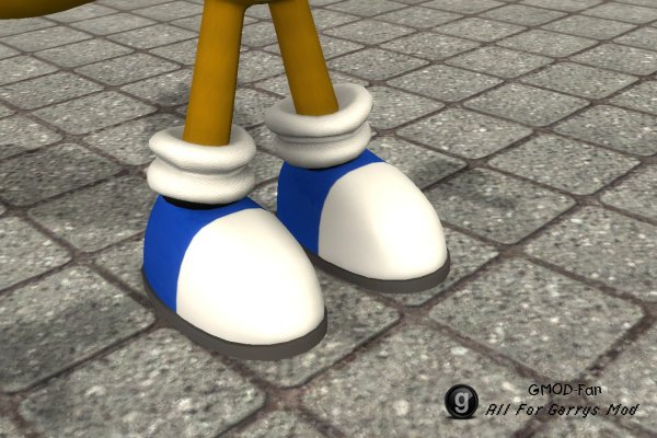 Tails Colored Shoes