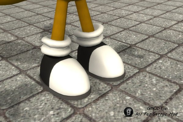 Tails Colored Shoes