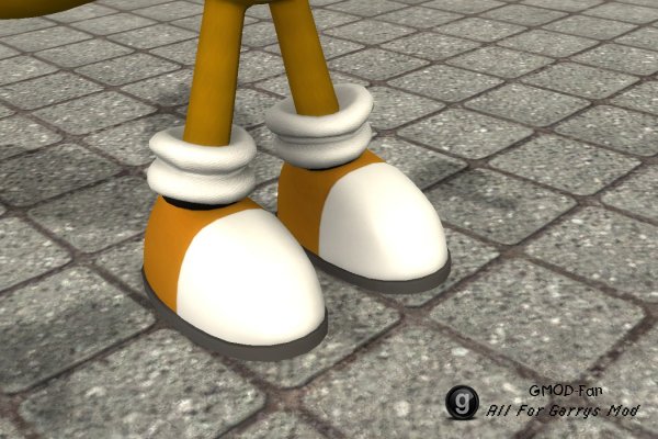 Tails Colored Shoes