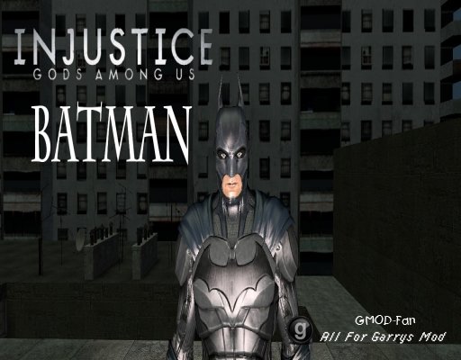 Injustice Gods Among Us Batman Player/Npc