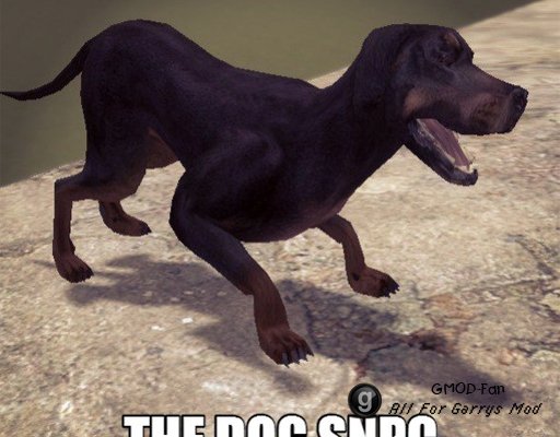 Собака SNPC v5