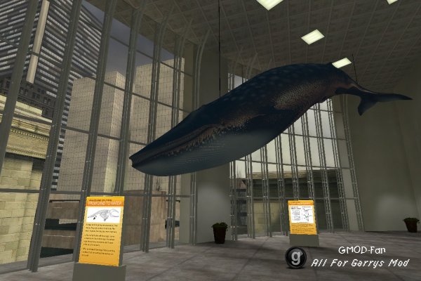 Museum