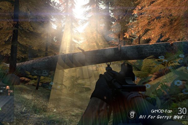 Battlefield 4 M416