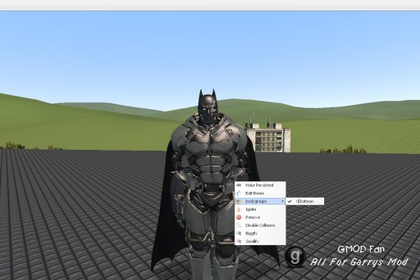 Extreme Environment Batman Player/Npc