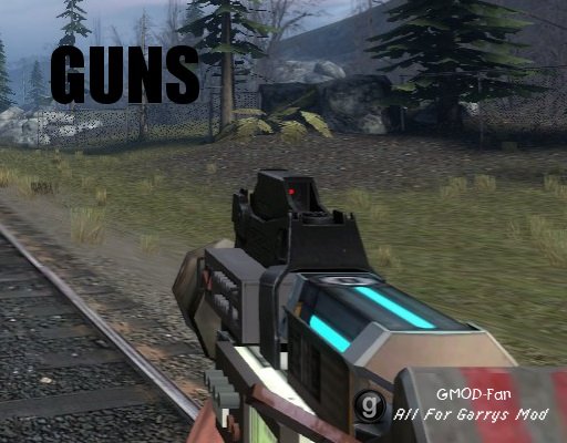 Custom-Citizens Guns