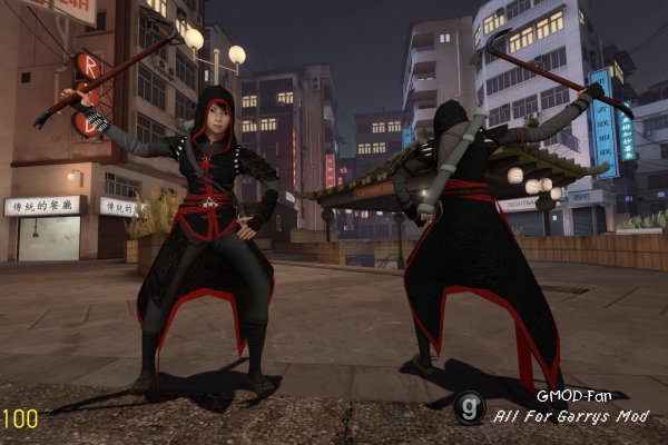 Assassin's Creed Chronicles China: Shao Jun Playermodel