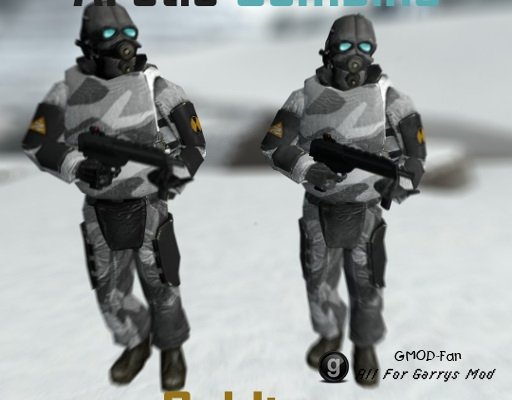 Arctic Combine Soldiers