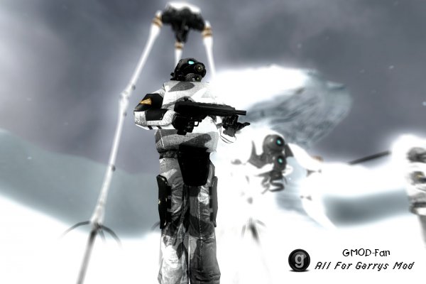 Arctic Combine Soldiers