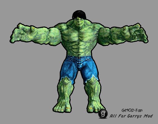 Incredible Hulk Ragdoll