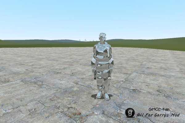 Terminator Playermodels and NPCs