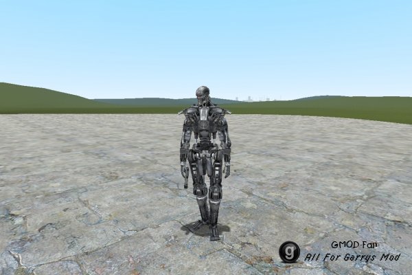 Terminator Playermodels and NPCs