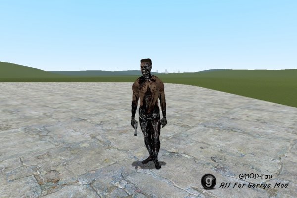Terminator Playermodels and NPCs
