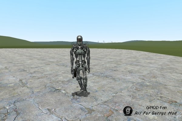 Terminator Playermodels and NPCs