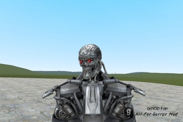 Terminator Playermodels and NPCs