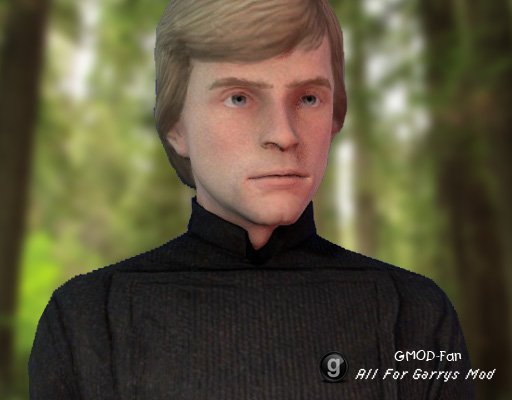 STAR WARS Luke Skywalker Playermodel