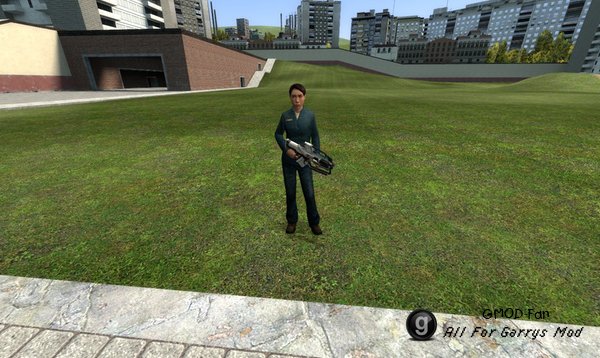 Sanctum 2 Weapons