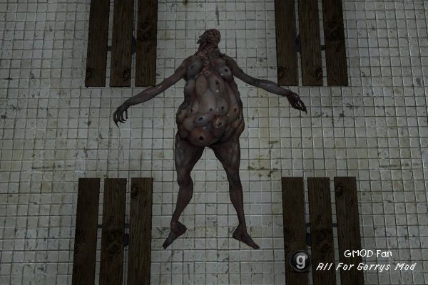 RE6 Lepotitsa Mod