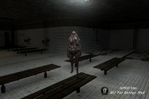 RE6 Lepotitsa Mod