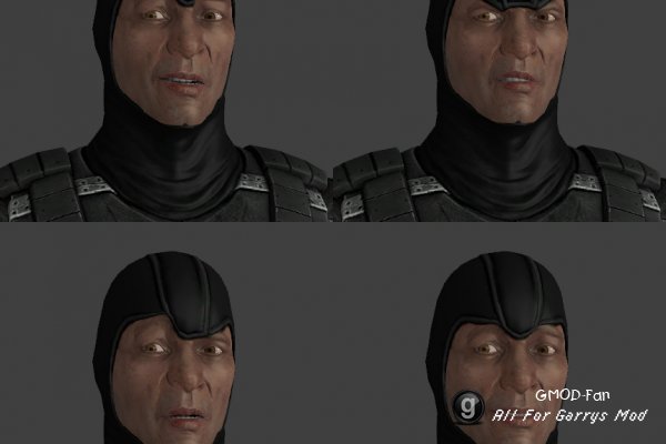 MKX Smoke P.M. and Ragdoll