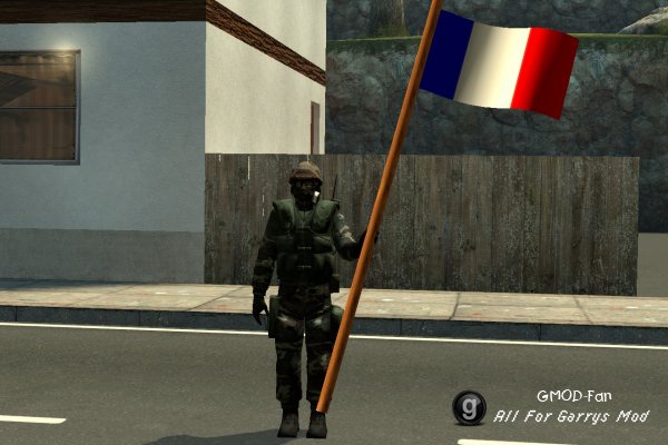 Flags
