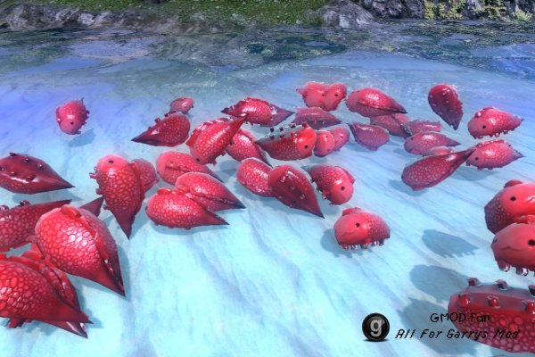Strawberry Fish [Sanctum 2]