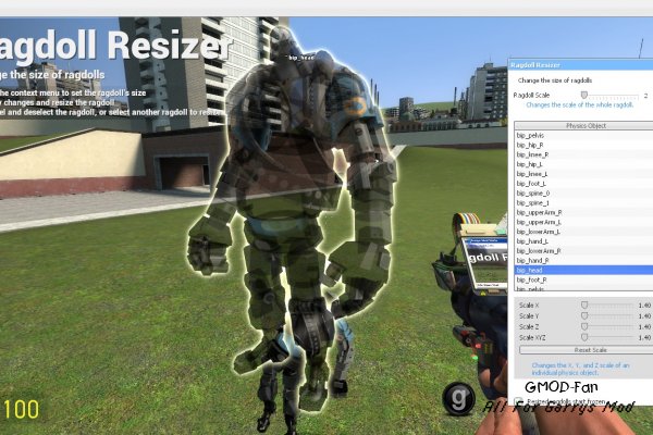 Ragdoll Resizer