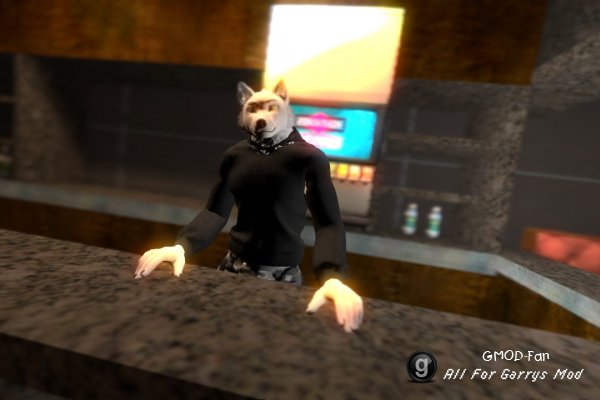 [SN] Anthro Wolf Playermodel