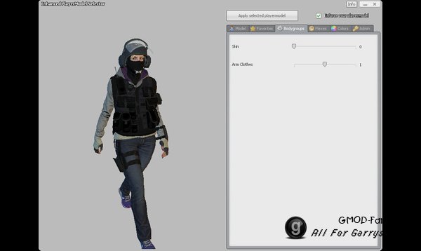 R6S: IQ P.M. and Ragdoll