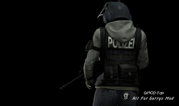 R6S: IQ P.M. and Ragdoll