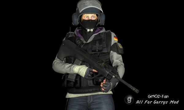 R6S: IQ P.M. and Ragdoll
