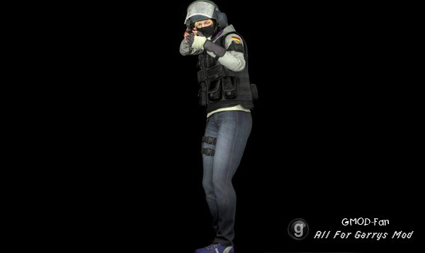 R6S: IQ P.M. and Ragdoll