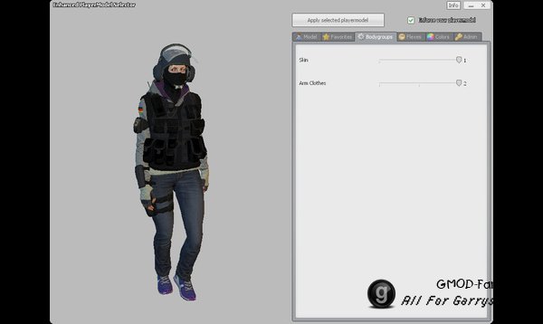 R6S: IQ P.M. and Ragdoll