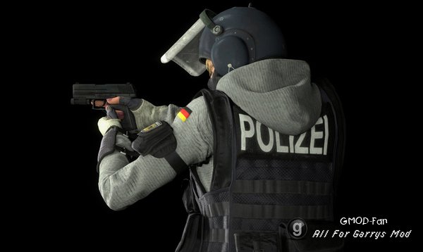 R6S: IQ P.M. and Ragdoll