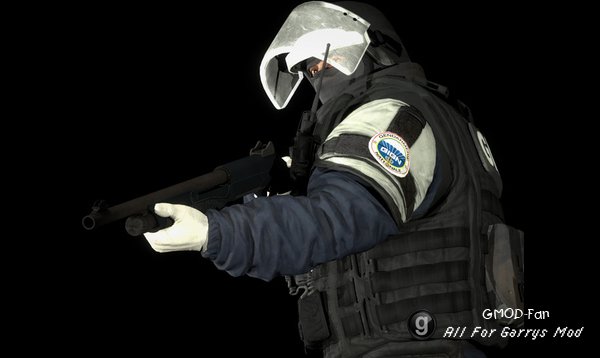 R6S: Doc P.M. and Ragdoll